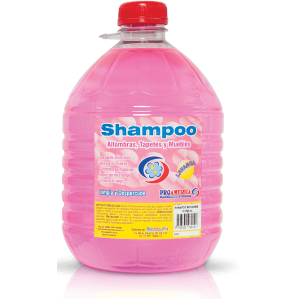 shampoo lavaalfombras 3800